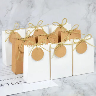 10Pcs White & Brown Gift Bags with Rope Handles and DIY Tag for Weddings & Parties