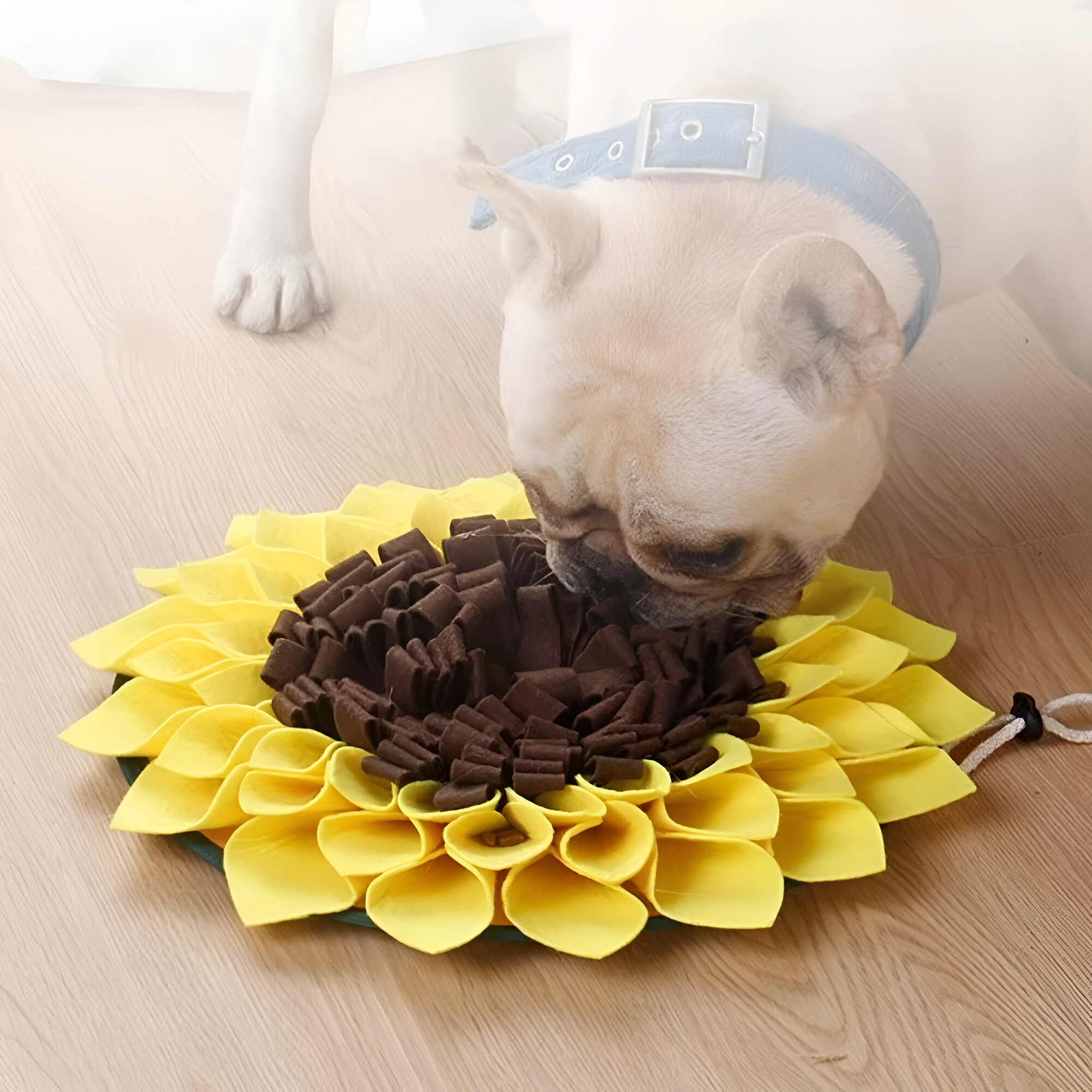 Sunflower Snuffle Mat - Large Stress Relief Toy for Dogs - Image 5