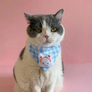 Adorable Plaid Pet Bib Collar – Cute Cartoon Triangle Scarf for Small Dogs